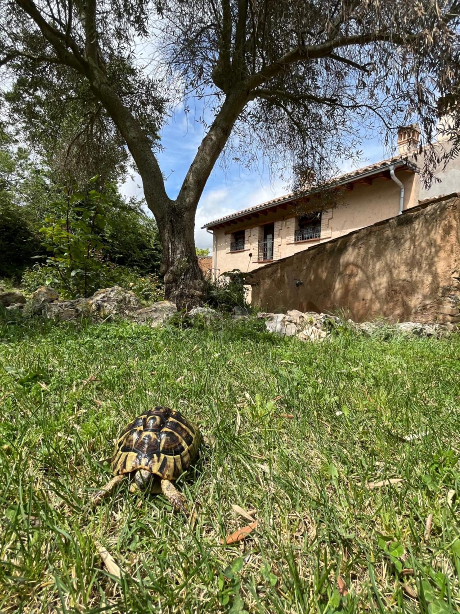 El Salegar Villa Roturas Kültér fotó